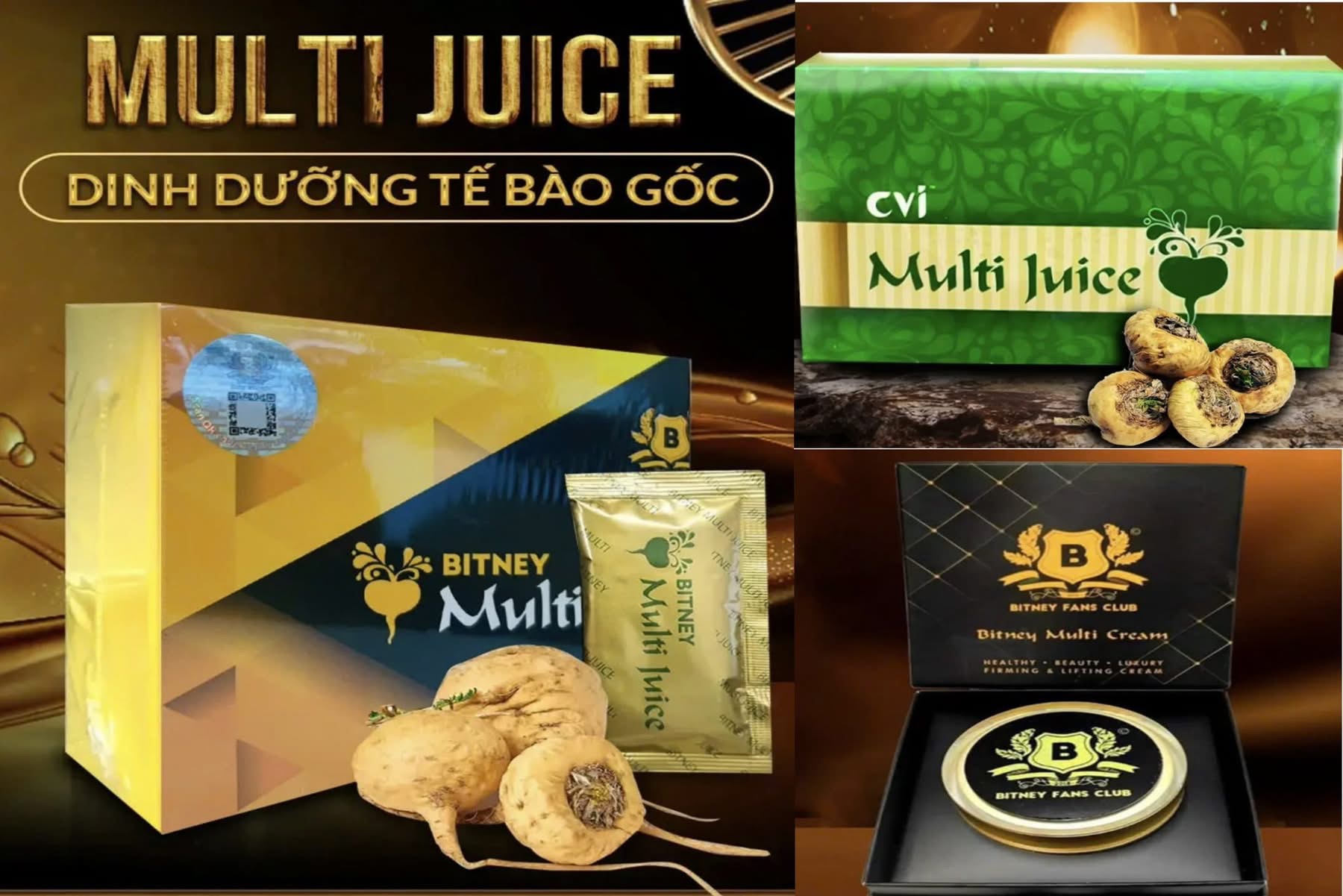 Công ty TNHH thương mại đầu tư Bitney Việt Nam là gì? lừa đảo ra sao
