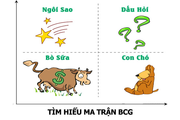 Ma trận BCG là gì