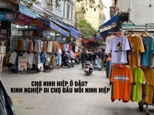 Chợ Ninh Hiệp Ở Đâu? Kinh Nghiệm Đi Chợ Đầu Mối Ninh Hiệp
